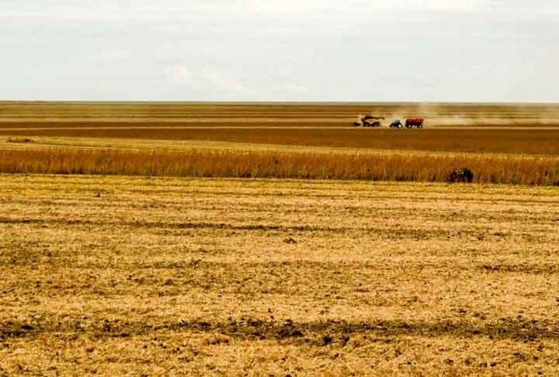Entre 1985 e 2022, o desmatamento para agropecuária cresceu 50% no país, com o Cerrado sendo o bioma com maior área agrícola, destacando-se o plantio de soja no Brasil.