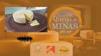 Produtores de queijo artesanal contam trajetórias de sucesso (Arte / Record TV Minas )