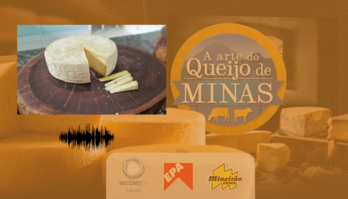 Produtores de queijo artesanal contam trajetórias de sucesso (Arte / Record TV Minas )
