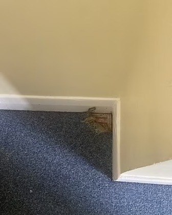 O quarto não estava alugado por ninguém, o que deixou a equipe do hotel com um mistério na mão. O quarto não estava alugado por ninguém, o que deixou a equipe do hotel com um mistério na mão.