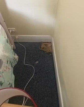 Um dos funcionários do local encontrou o quarto (um dos favoritos dos hóspedes), danificado, mas sem sinais de quem seria o culpado. O dormitório estava com partes do tapete rasgados, o aquecedor e ventilador caídos, além de muita sujeira por toda parteVALE SEU CLIQUE: Esquilos 'esparramados' assustam moradores e autoridades dizem que eles estão se refrescando Um dos funcionários do local encontrou o quarto (um dos favoritos dos hóspedes), danificado, mas sem sinais de quem seria o culpado. O dormitório estava com partes do tapete rasgados, o aquecedor e ventilador caídos, além de muita sujeira por toda parteVALE SEU CLIQUE: Esquilos 'esparramados' assustam moradores e autoridades dizem que eles estão se refrescando