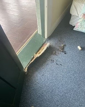 Após uma sessão de limpeza e conserto, o dormitório foi fechado. No outro dia, pela manhã, um dos funcionários retornou ao local, que estava revirado novamente. Após uma sessão de limpeza e conserto, o dormitório foi fechado. No outro dia, pela manhã, um dos funcionários retornou ao local, que estava revirado novamente.