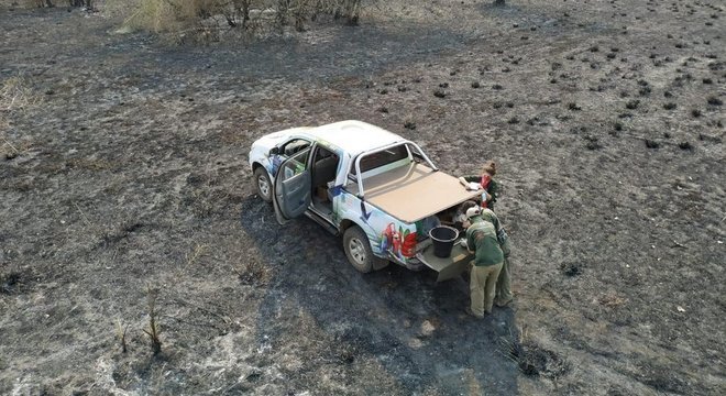 Equipe do Instituto Arara Azul monitora destruição após queimadas