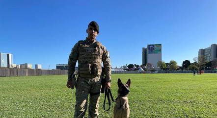 Cadela da raça pastor-belga-malinois ajuda na segurança