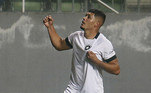 Erison tem 13 gols na temporada com a camisa do Botafogo