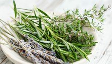 Como usar ervas para temperar os alimentos 