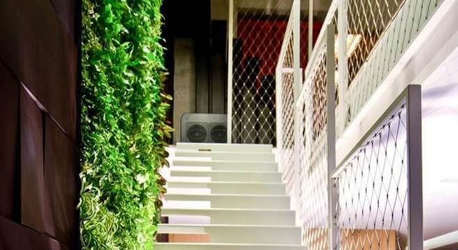 Escada flutuante super charmosa alinhada a uma parede com jardim vertical