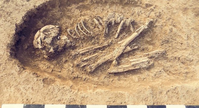 Fósseis podem trazer mais revelações do que você imagina