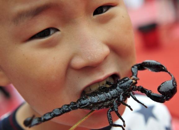 Escorpião negro - É cozido antes de ser frito, e este procedimento anula o veneno. Muito apreciado em Singapura, degustado inteiro, desde a cabeça até o rabo.  