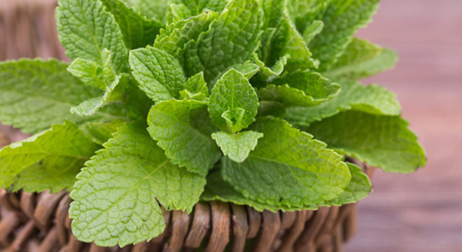 Esfoliação facial - O que é, tipos, como fazer + 12 receitas de esfoliante caseiro