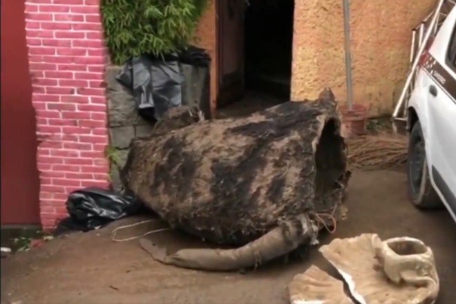 Trabalhadores descobrem 'rato gigante' durante limpeza do sistema de esgoto