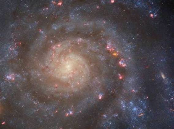 Uma imagem da galáxia IC 5332, do tipo SABc. O 
