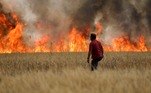 Os incêndios provocados pela onda de calor na Espanha também provocaram a morte de um pastor na província de Zamora, no noroeste, anunciaram nesta segunda-feira (18) autoridades locais. Neste domingo (17), um bombeiro também morreu na mesma região