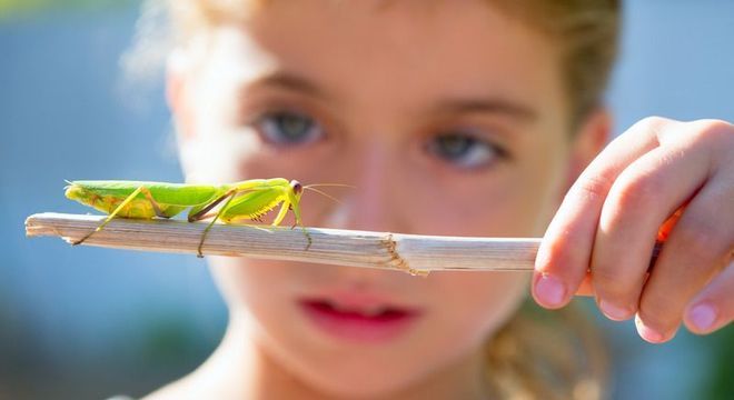 Especificação do exemplo para ilustrar o item