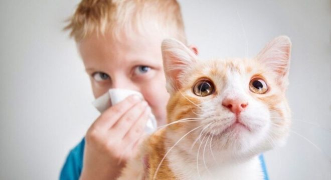 Especificação do exemplo para ilustrar o item