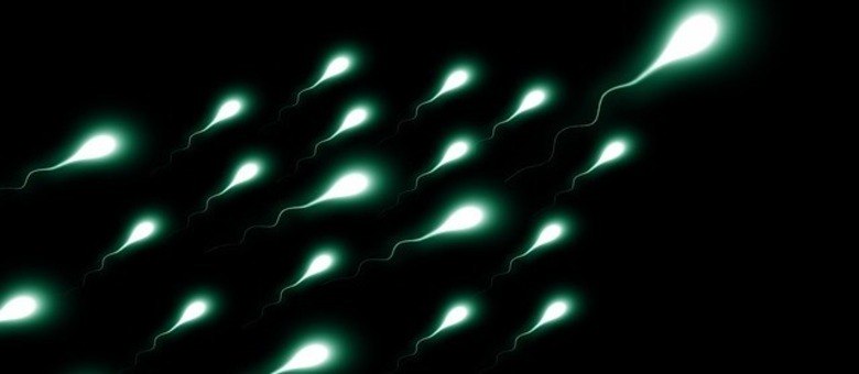 Pesquisa testou amostras de esperma congelado em microgravidade