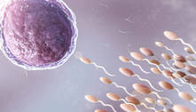 Estudo desenvolve contraceptivo masculino reversível que impede deslocamento de espermatozoides
