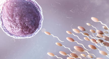 Estudo sugere impacto na fertilidade masculina