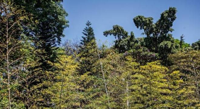 Espreguiçadeiras perto da piscina