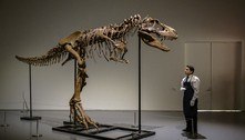 Esqueleto de gorgossauro é vendido por R$ 33 milhões nos EUA 