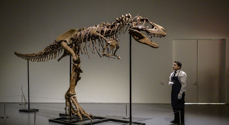 Esqueleto de dinossauro em exposição em Nova Iorque (EUA)
