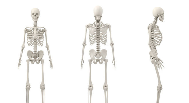 Tirando alguns sortudos, todos nós precisamos nos cuidar para prevenir a osteoporose ao envelhecer