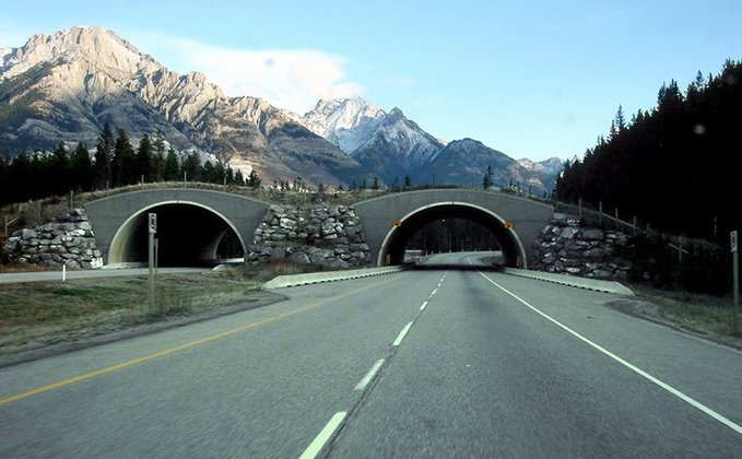 Esta via, construída em 1950, conecta as 10 províncias, ligando algumas das maiores cidades do Canadá