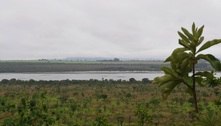 Inpe pode deixar de monitorar desmatamento do cerrado
