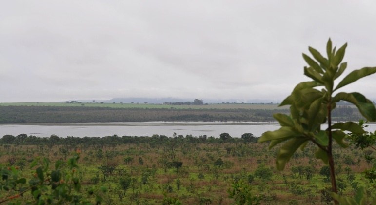 Estação Ecológica de Águas Emendadas, em Planaltina, é uma das protegidas do Cerrado que sofre com invasões