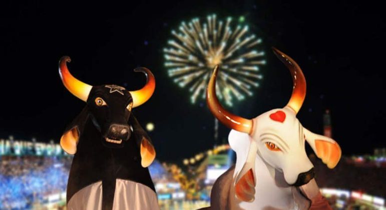 Estado do Amazonas - curiosidades sobre o maior estado brasileiro