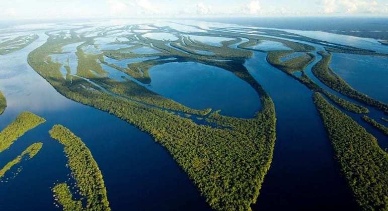 Estado do Amazonas - curiosidades sobre o maior estado brasileiro