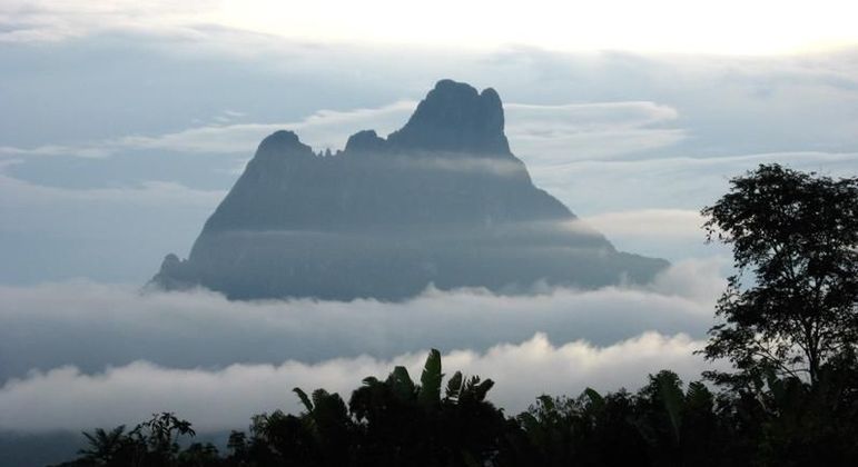 Estado do Amazonas - curiosidades sobre o maior estado brasileiro