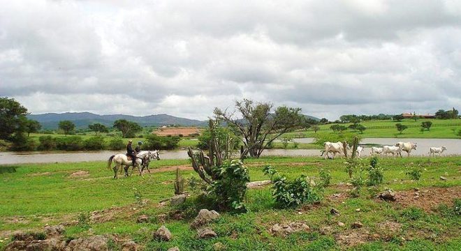 Estados da região Nordeste - Característica geográfica, clima e vegetação