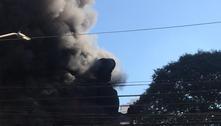 Polícia pede soltura de mulher de preso por incêndio a estátua 