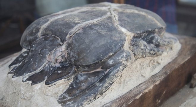 A estátua de um escaravelho foi considerada 'a descoberta mais encantadora'