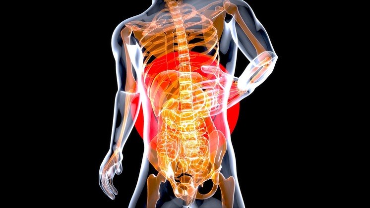 Falta de vitaminaÉ no intestino que o nosso corpo absorve diversos nutrientes e gorduras – boas e ruins. As proteínas são absorvidas no estômago, mas também passam pelo intestino. 'As vitaminas A, C, E, D, K, vitaminas do complexo B, alguns minerais, como o ferro, cálcio, magnésio, zinco, são absorvidos no intestino delgado. Quando você pensa em absorção nutricional, temos mais disposição, mais energia, mais vitalidade, porque está nutrindo o teu corpo', conta Edvânia.A diminuição da absorção pode levar a uma deficiência de nutrientes. Isso ocorre quando as microvilosidades intestinais (aumentam as superfícies de absorção) têm rompimentos que dificultam tanto a retenção de nutrientes, quanto a digestão e secreção de líquidos, por exemplo.'Quando o intestino não está, de uma certa forma, saudável, a gente começa a ter falta de nutrientes, então geralmente ele vai ter sim déficit nutricional, isso é natural', alerta a nutricionista