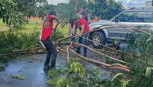Após temporal, 20 toneladas de galhos são retiradas de ruas do Riacho Fundo II, no DF