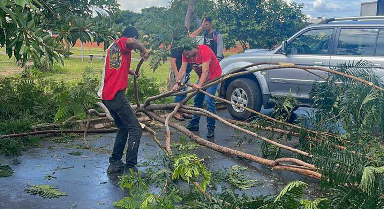 Homens trabalhando para tirar árvore de via, no Riacho Fundo II
