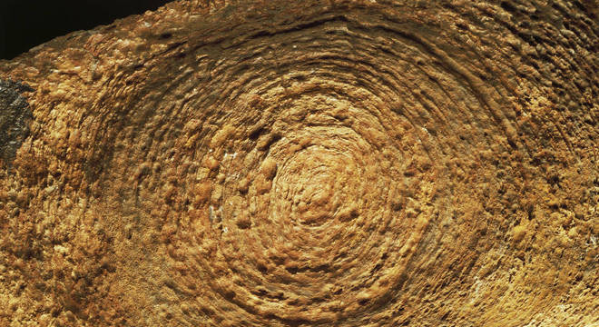 Estruturas minerais como estes estromatólitos são fundamentais na produção de oxigênio