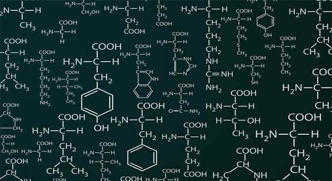 Estrutura das proteínas, o que é? Definição, tipos e características