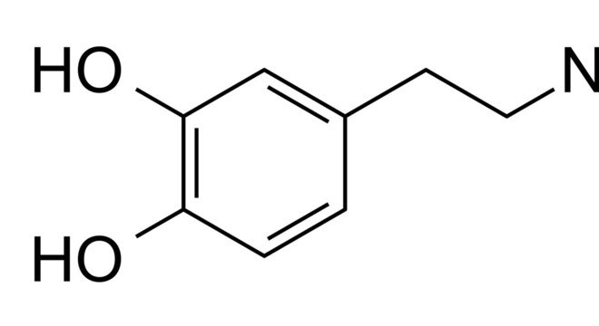 estrutura dopamina