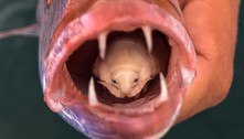 Estudante de biologia captura peixe com parasita no lugar da língua