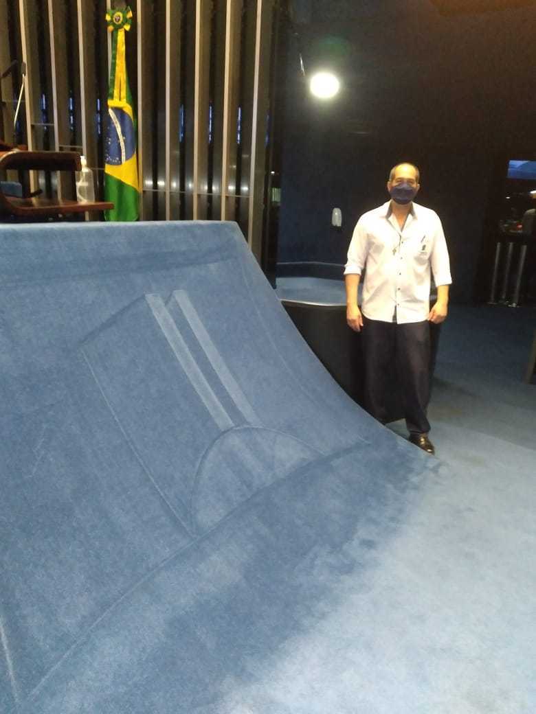 Os desenhos de Santos no plenário do Senado atraem turistas (Arquivo pessoal)