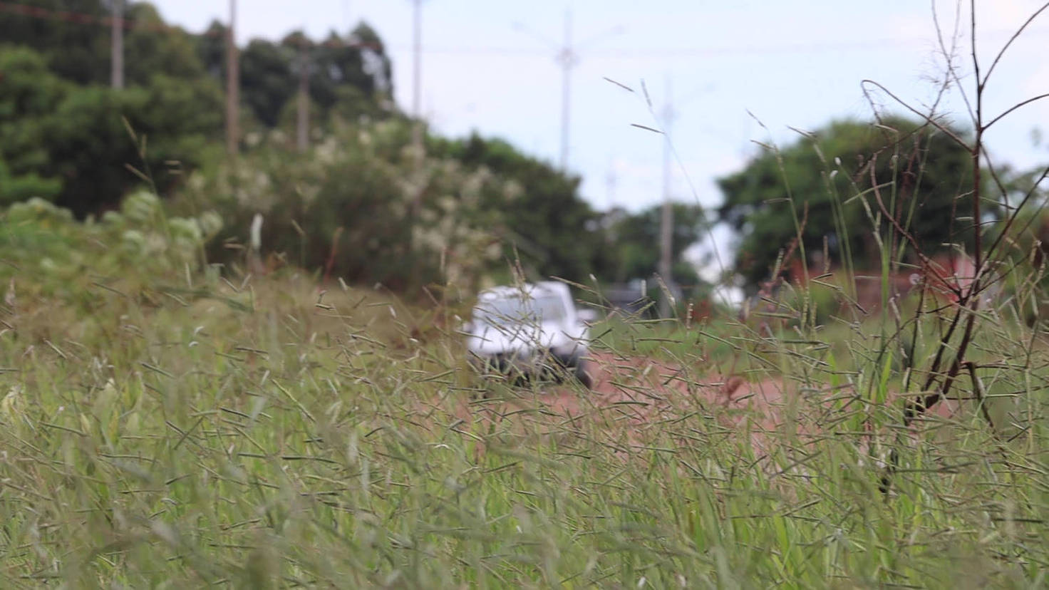 Fronteira: mato aparente (Márcio Neves/Record TV)
