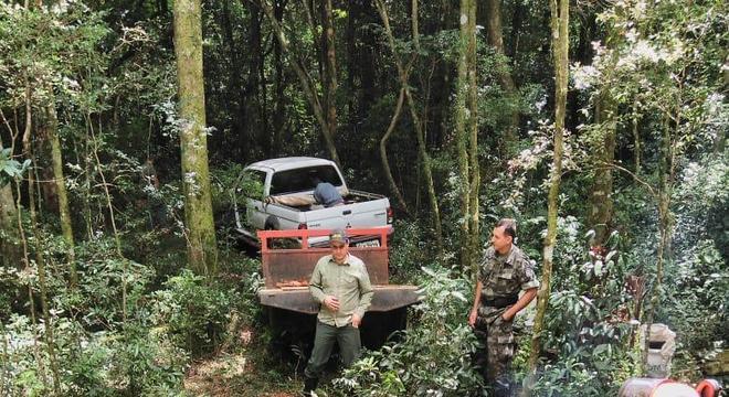 Derrubada ilegal de 17 árvores raras rendeu multa de R$ 12.750 Mapeamento de árvores gigantes