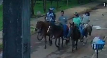 A menina foi estuprada após passear a cavalo.