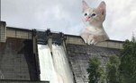A saída encontrada para o material ficar mais atrativo foi a inserção de gatos nas edificaçõesBombou no HORA 7! Vídeo de carne com 'espasmos' aterroriza rede social: 'Vou virar vegetariano'