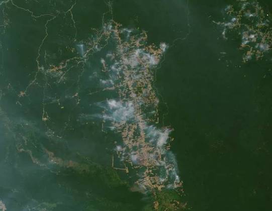 Explorações ilegais na Região Norte do Brasil vêm surtindo um efeito devastador ao meio ambiente. É o que demonstram novos dados do Sistema de Estimativas de Emissões e Remoções de Gases de Efeito Estufa (SEEG), divulgados nesta segunda-feira (13/6).