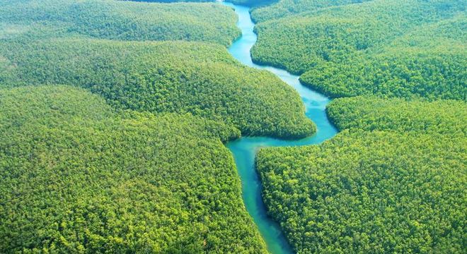 Expressões regionais - ditados e gírias típicas de cada região do Brasil