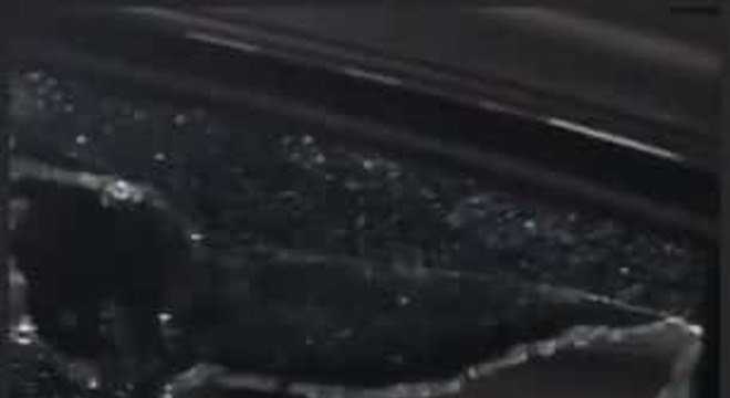 fabiana justus assalto